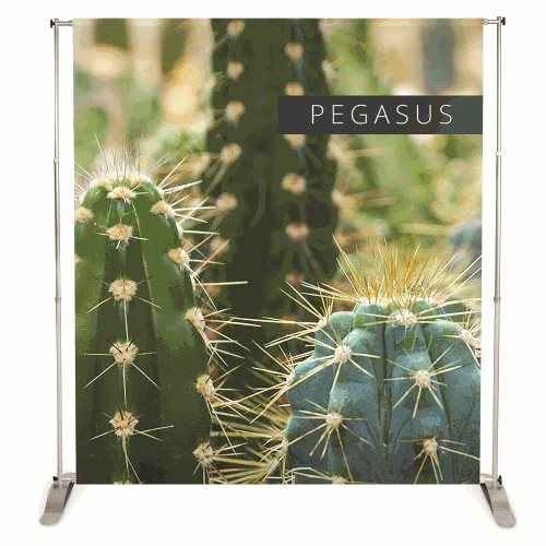 Pegasus Fabric Print